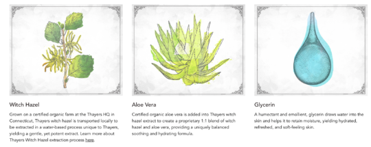 Illustrated pictures of the ingredients found in the Thayers toner: witch hazel, aloe vera and glycerin